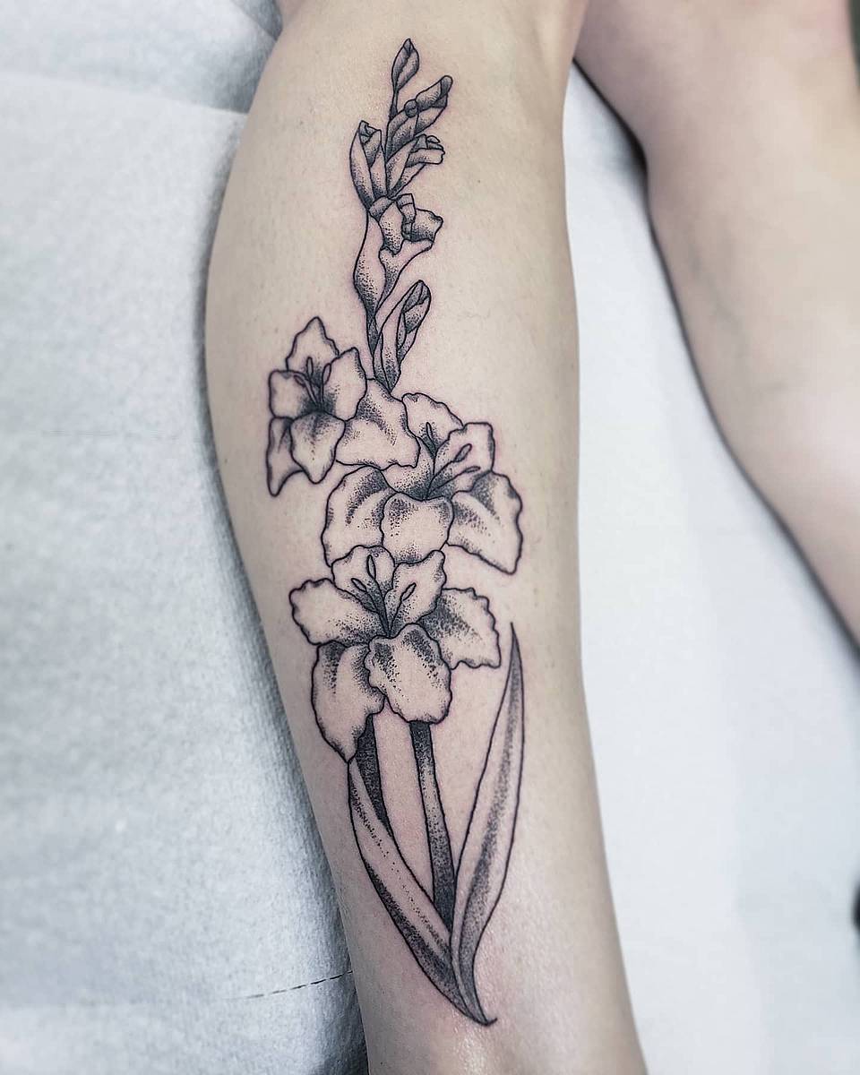 Stippled Gladiolus Stem
