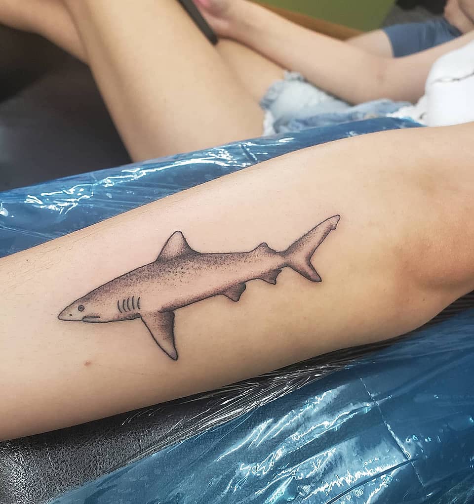 Stippled Shark Glide
