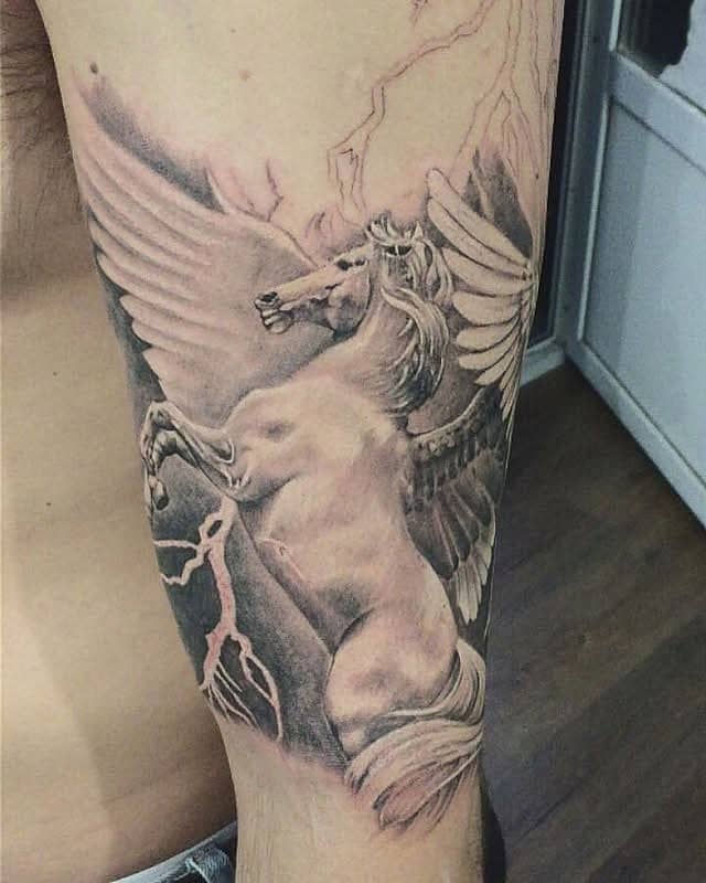 Stormborne Pegasus