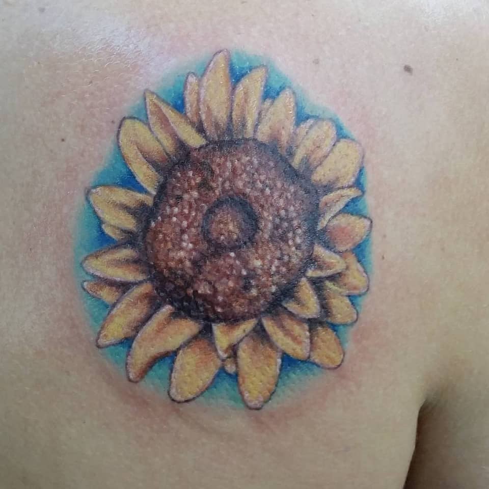 Sunflower Donut Bloom