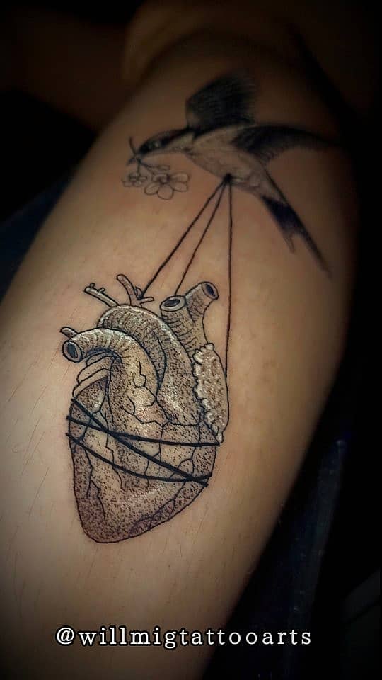 Swallow Lifting the Heart
