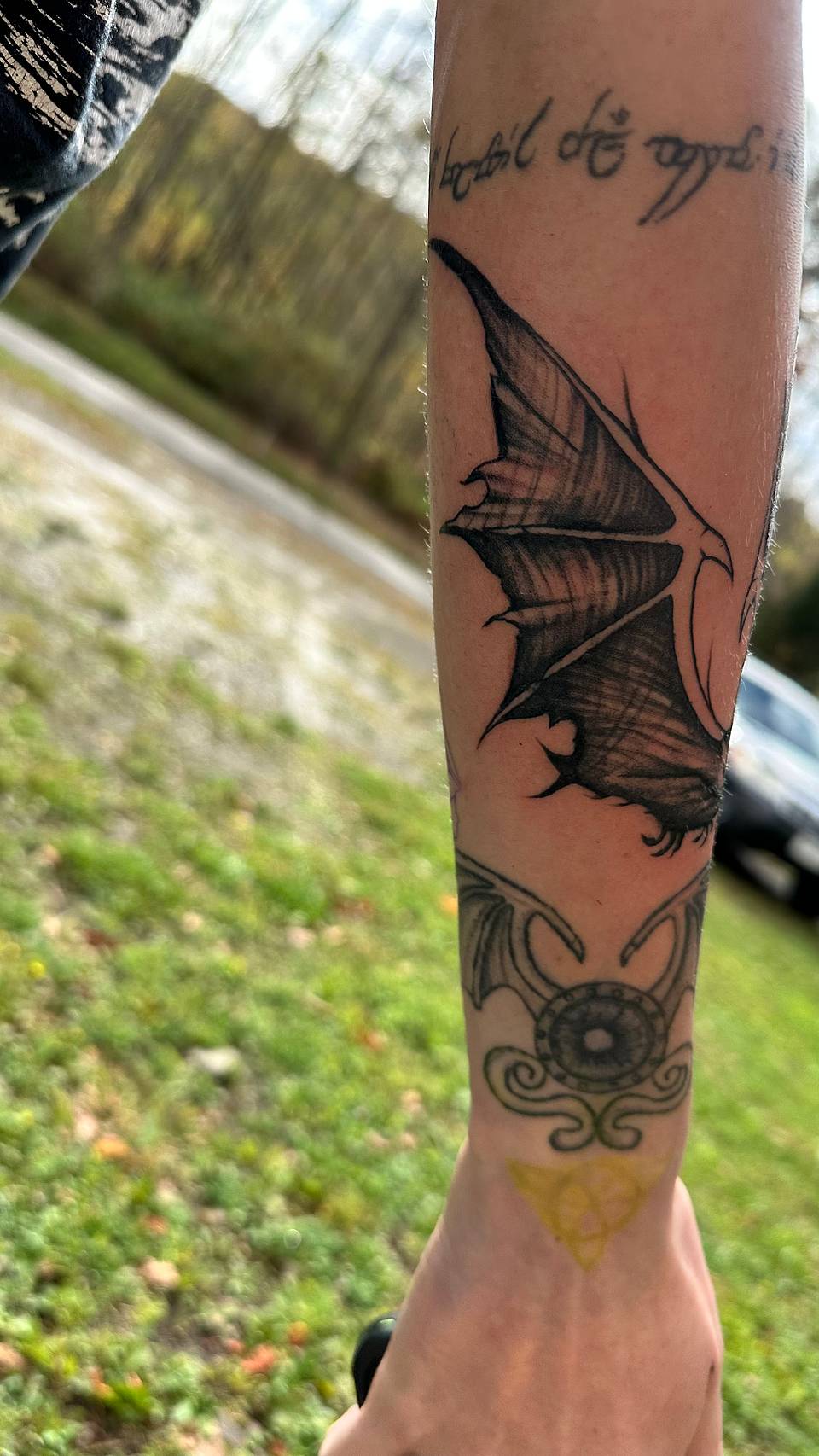 Tattered Dragon Wing