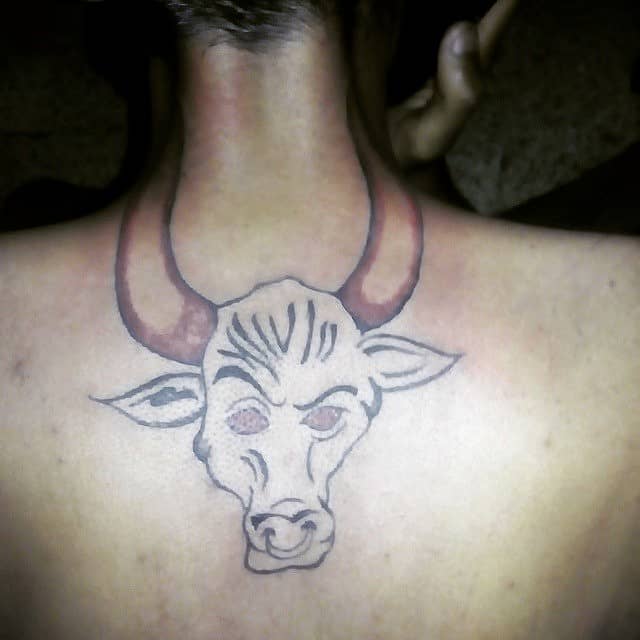 Taurus Bull at the Nape