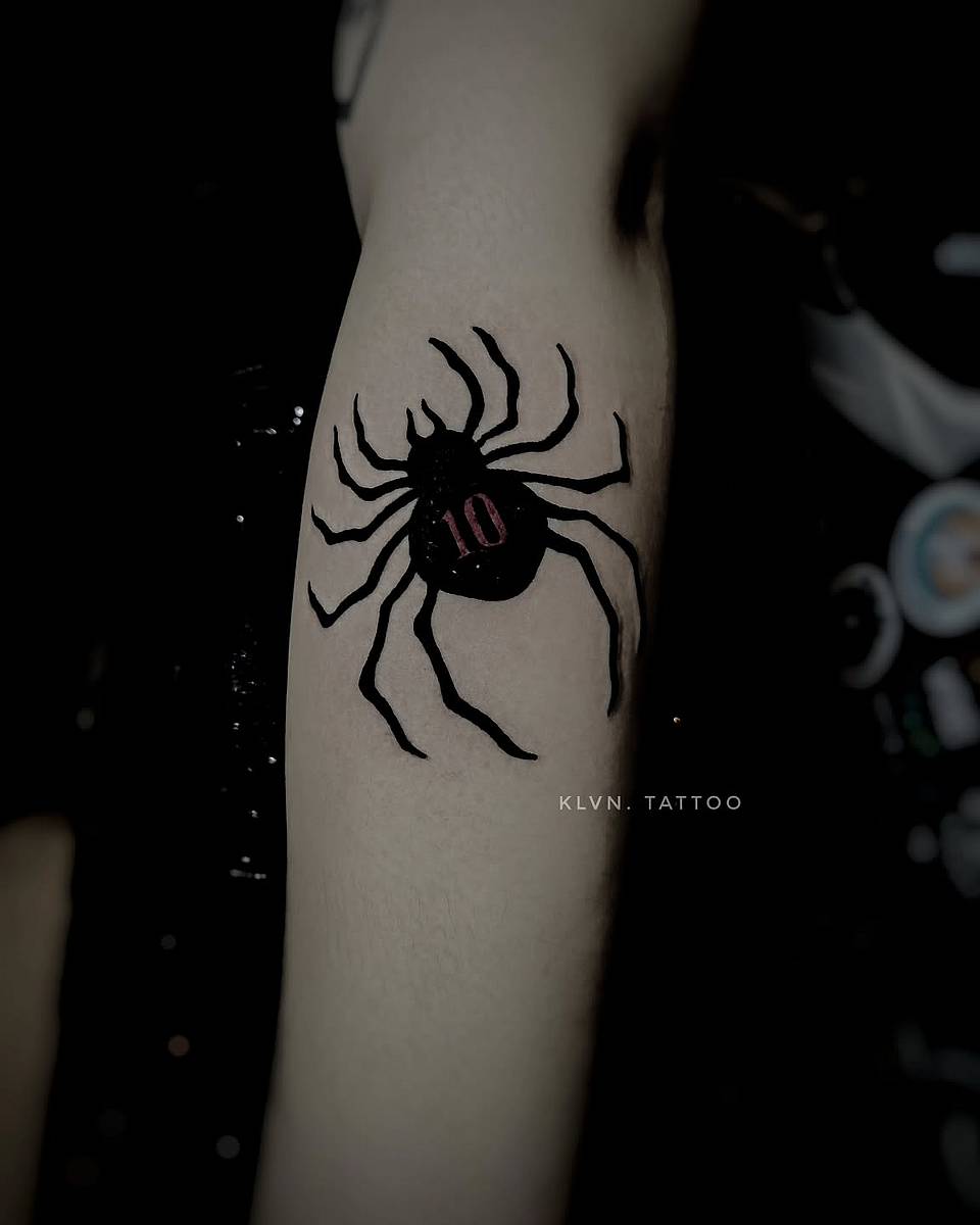 Ten-Marked Black Spider
