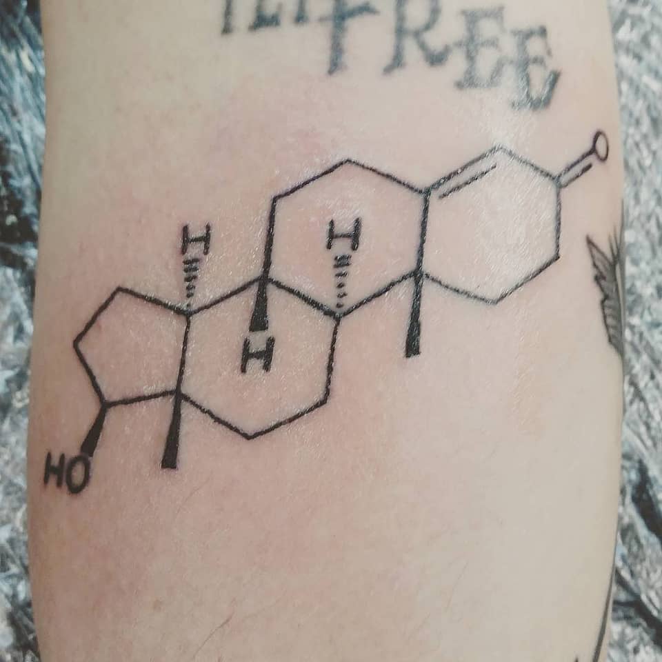 Testosterone Molecule Linework