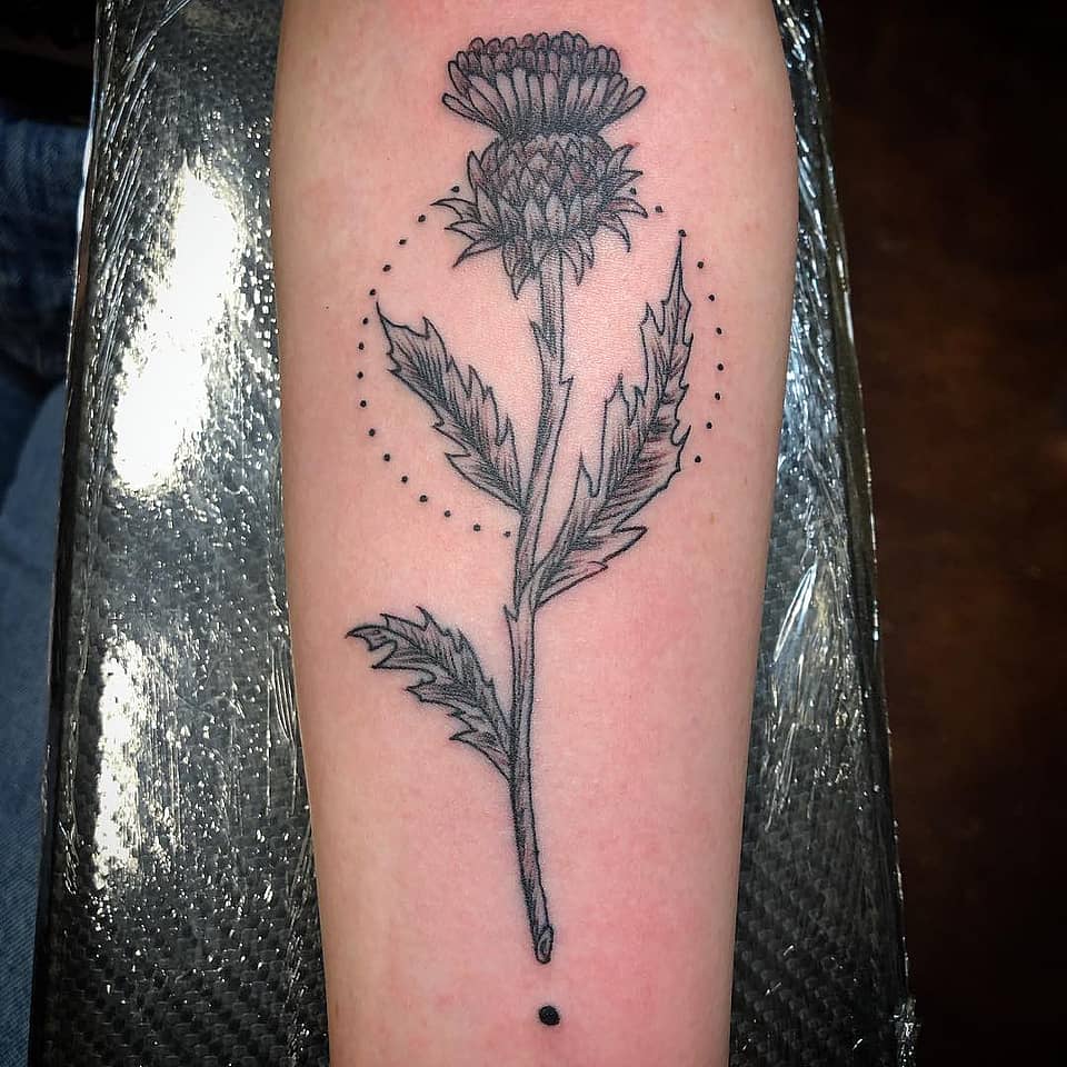 Thistle Bloom with Dotted Halo