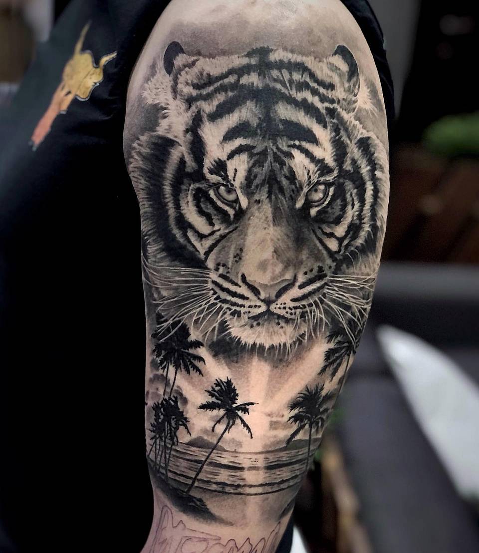Tiger Gaze over Tropical Shore