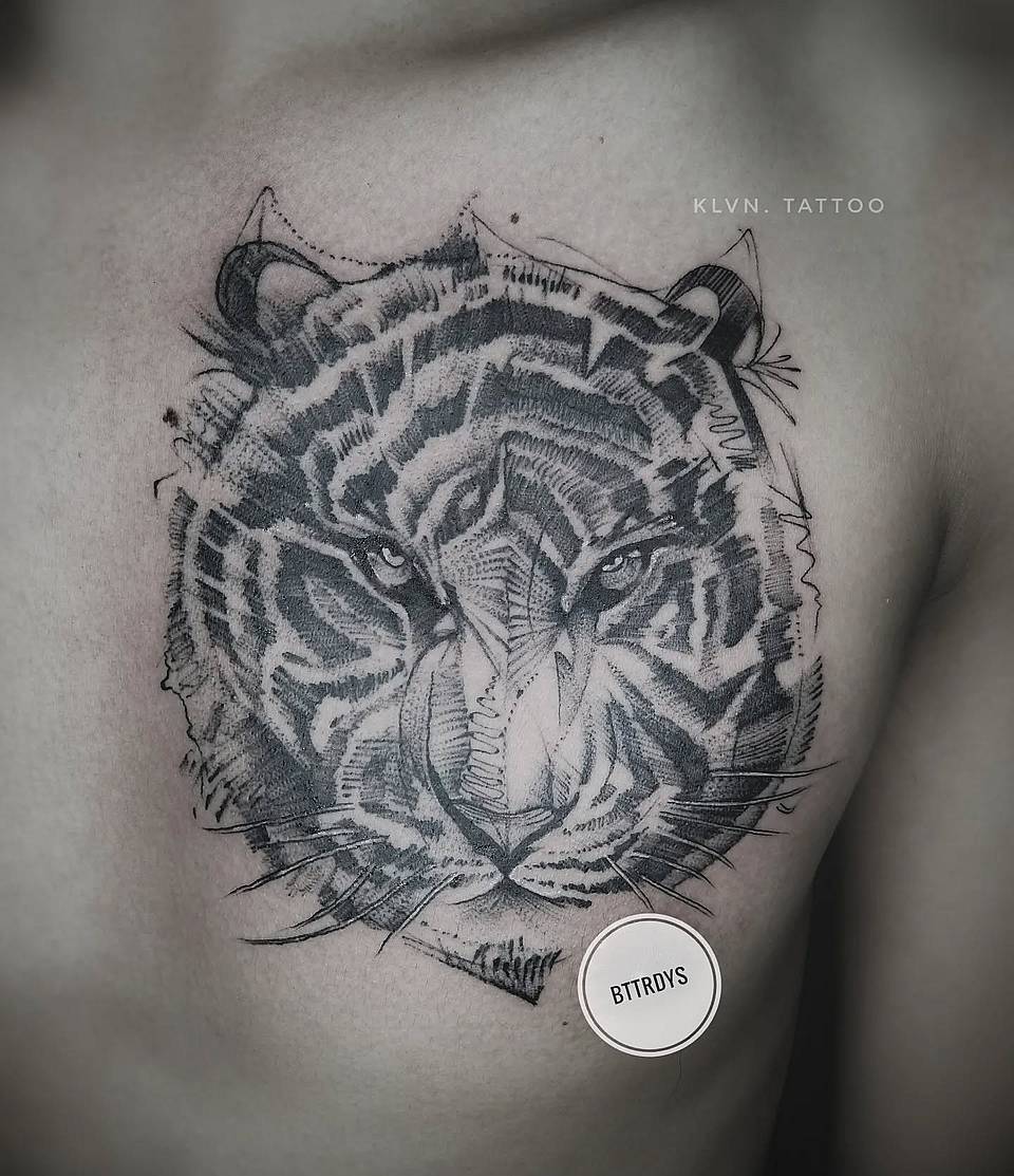 Tiger Head Sketch
