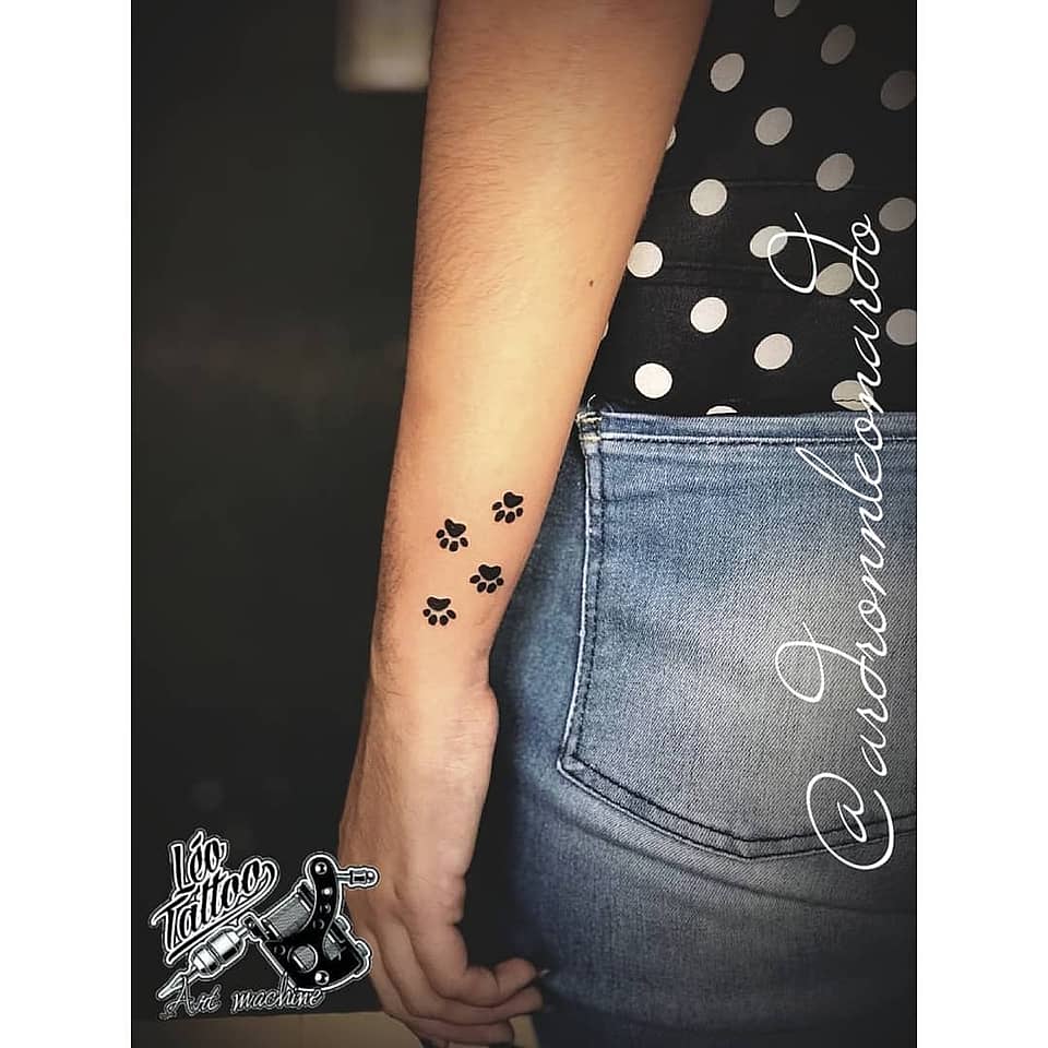 Tiny Paw Trail
