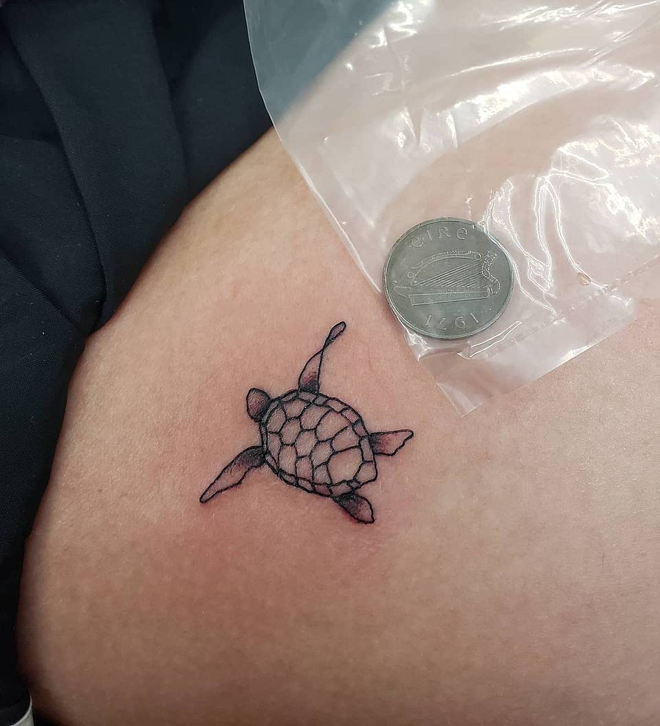 Tiny Sea Turtle Outline