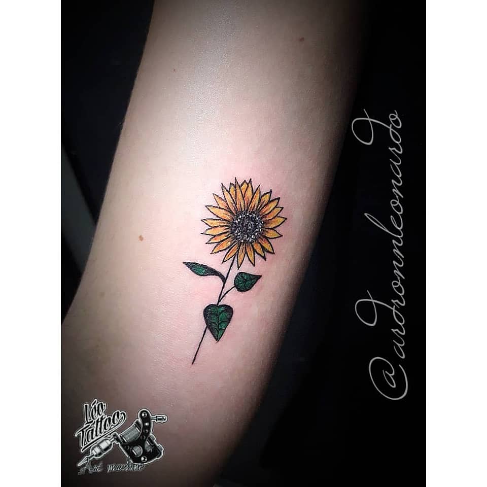 Tiny Sunflower