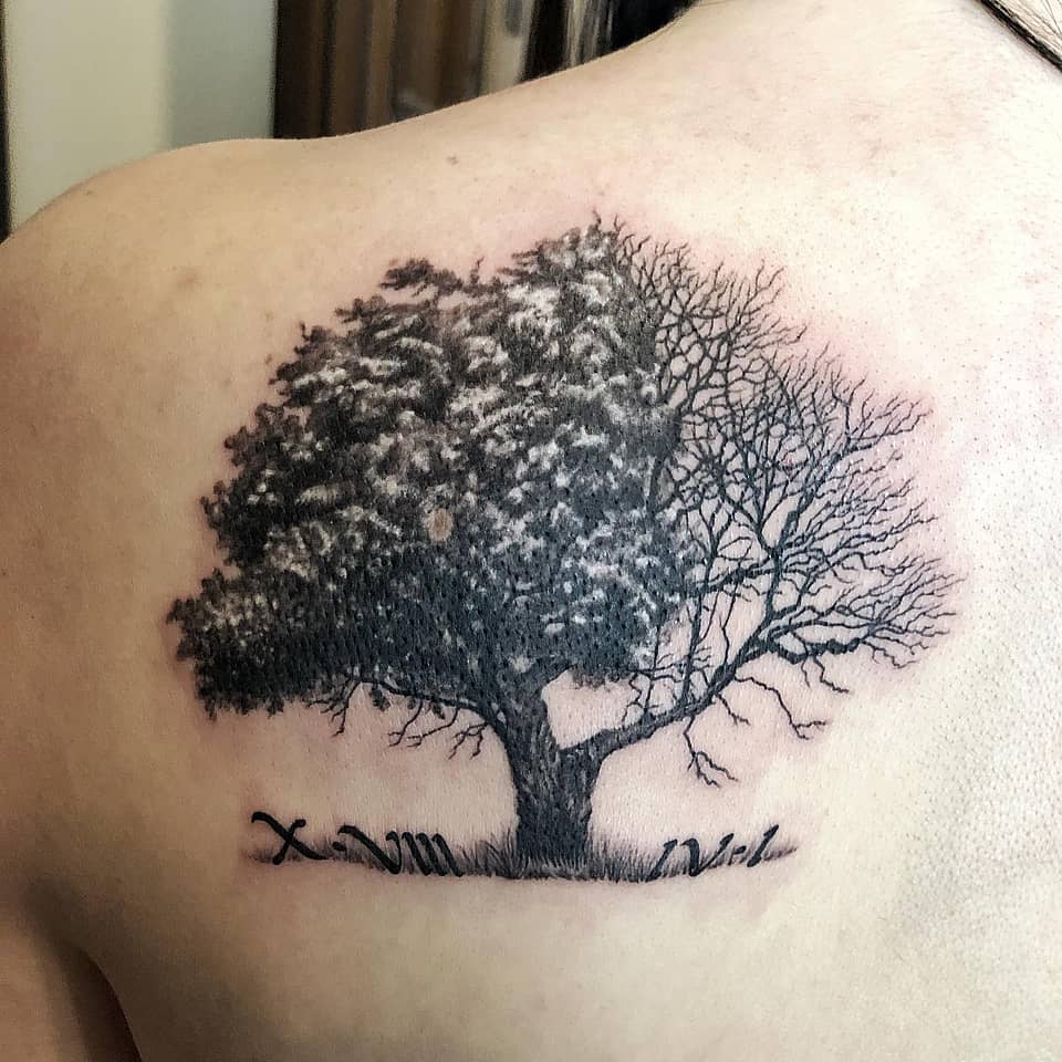 Tree of Two Seasons