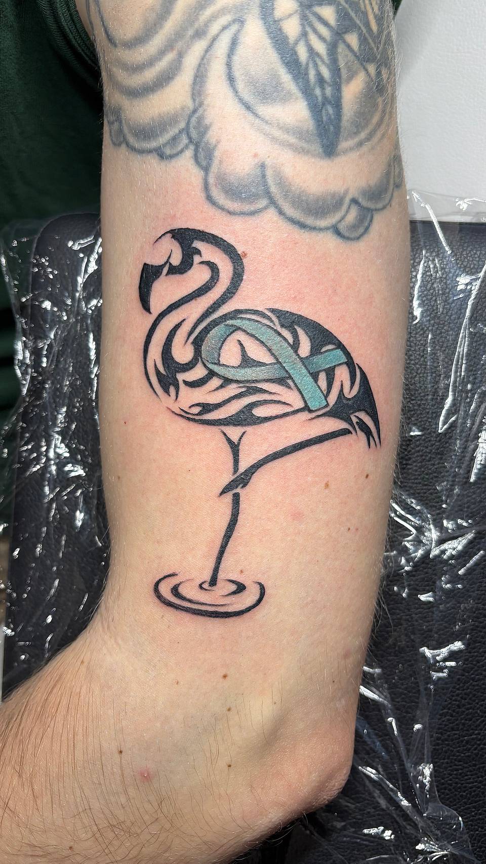 Tribal Flamingo with Teal Ribbon