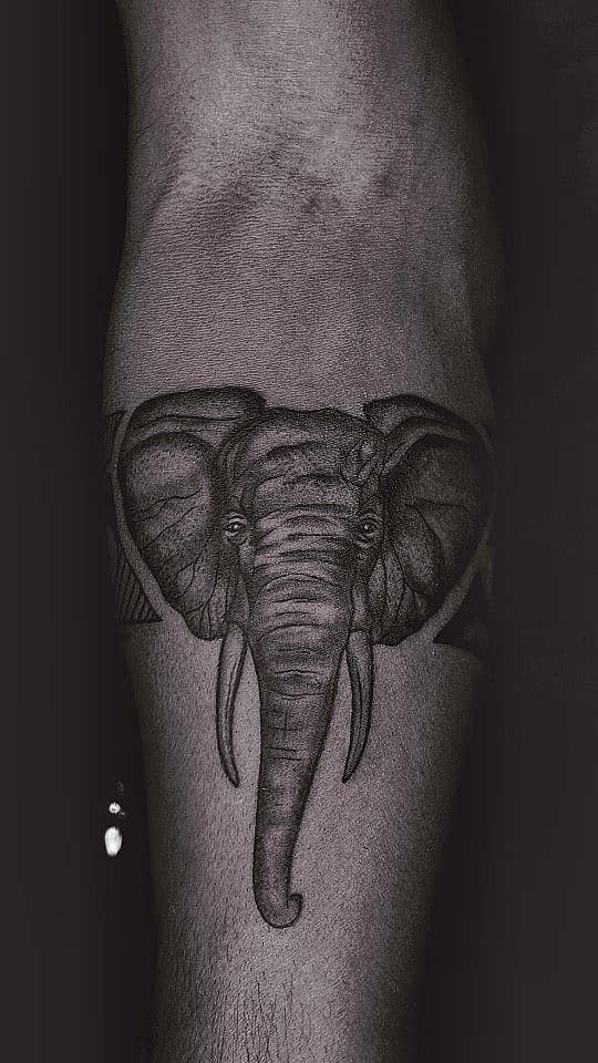 Trunk of Wisdom