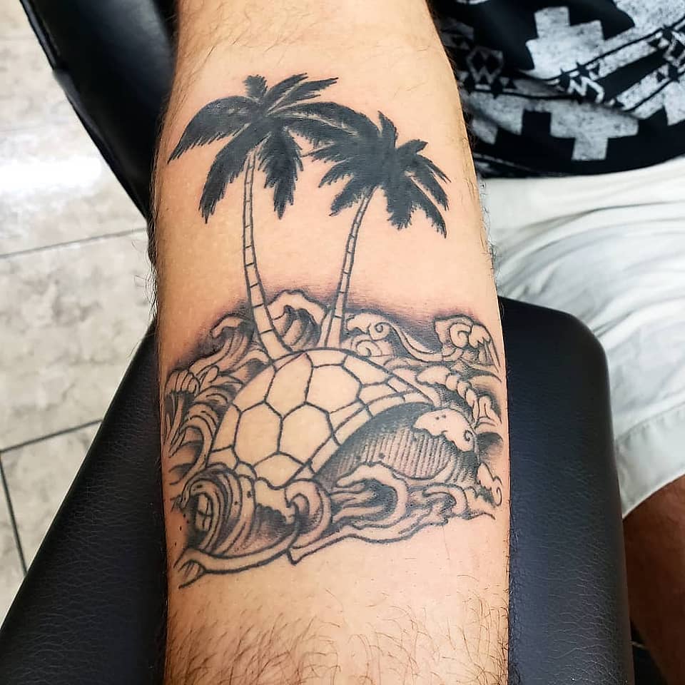 Turtle Island in the Waves