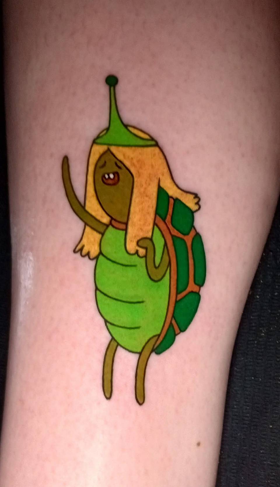 Turtle Princess