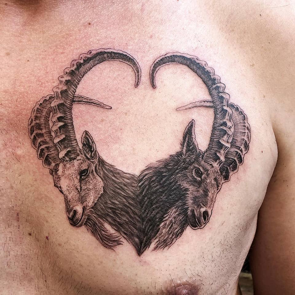 Twin Ibex Heart