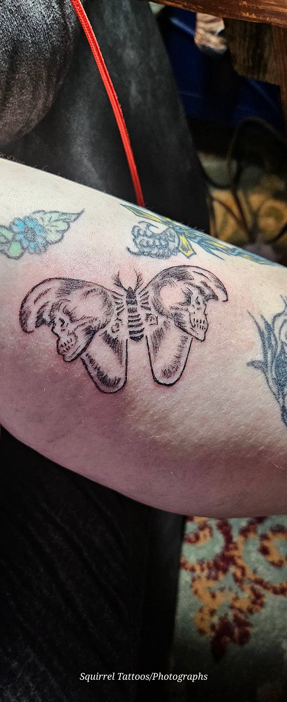 Twin Skull Moth