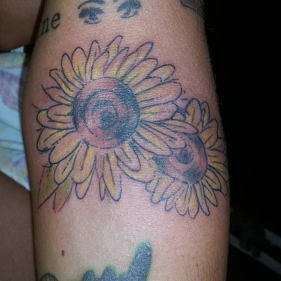 Twin Sunflowers with Spiral Centers