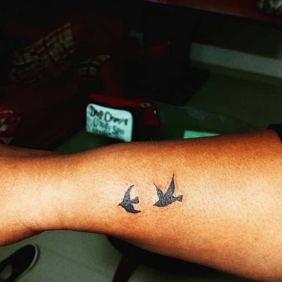 Twin Swallows in Flight