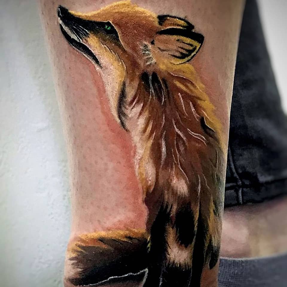 Verdant-Eyed Fox