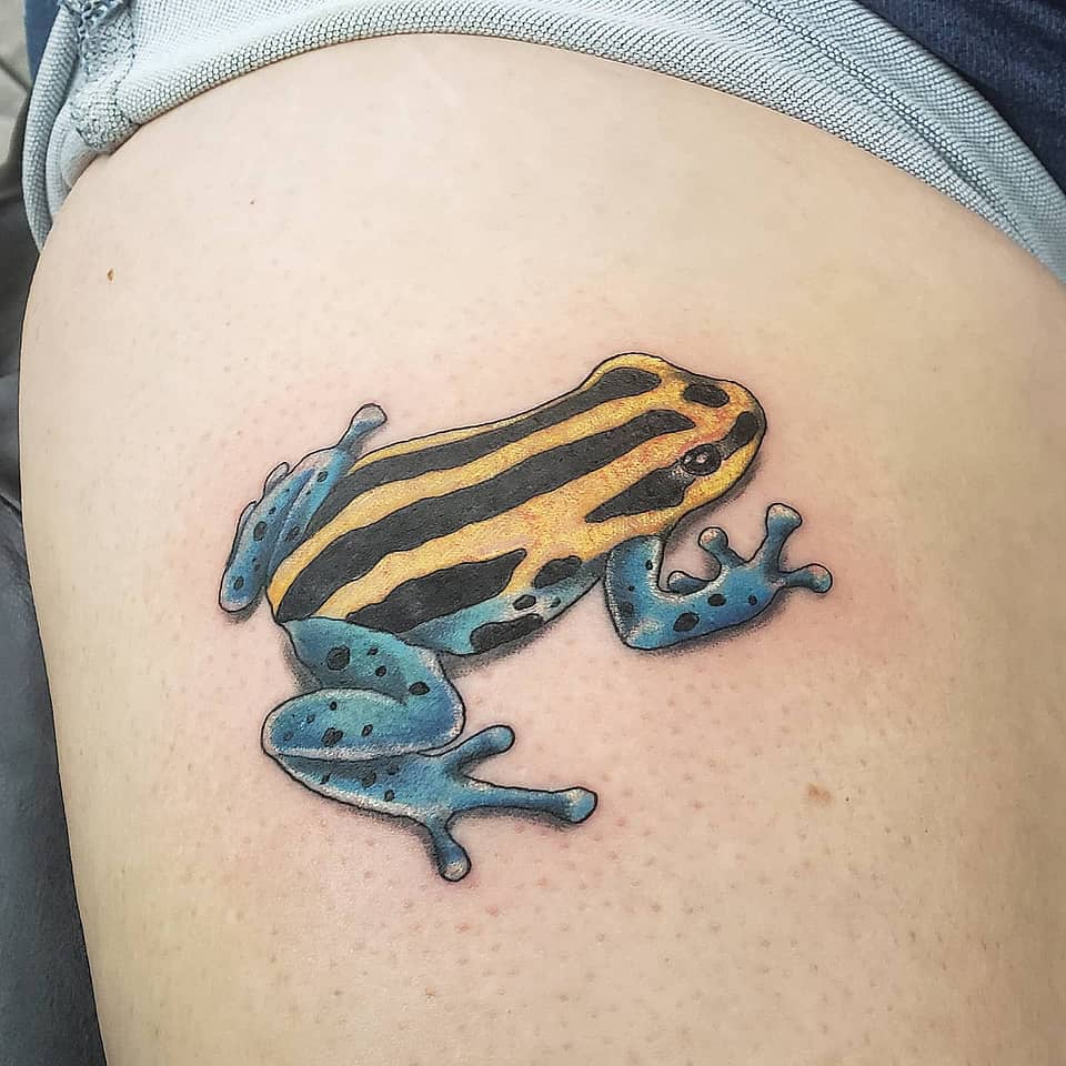 Vibrant Poison Dart Frog