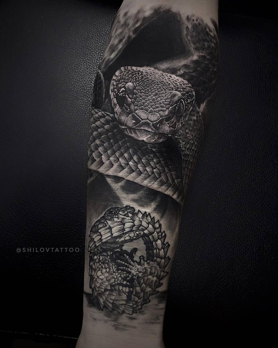 Viper Gaze and Pangolin Shield
