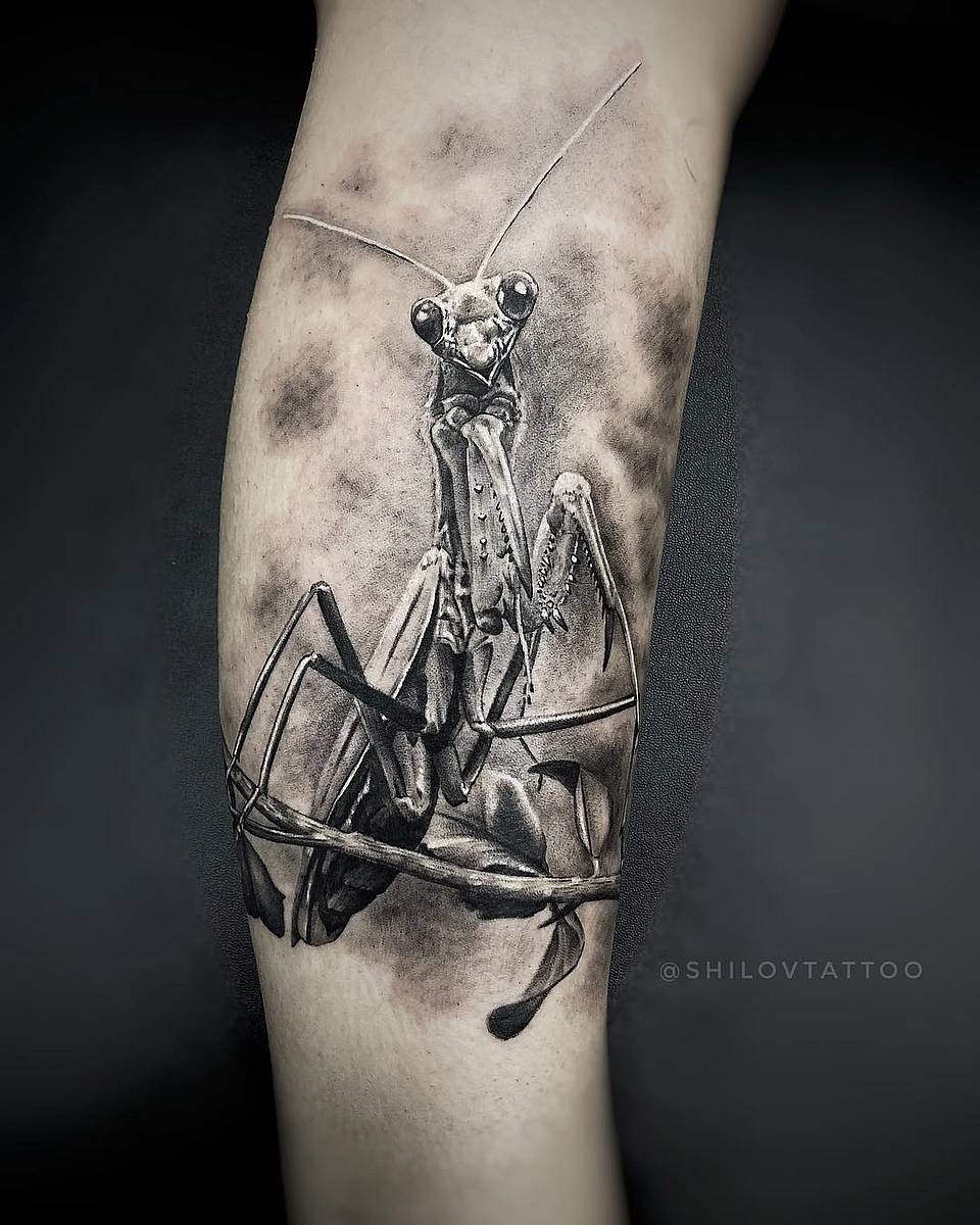 Watchful Mantis Realism