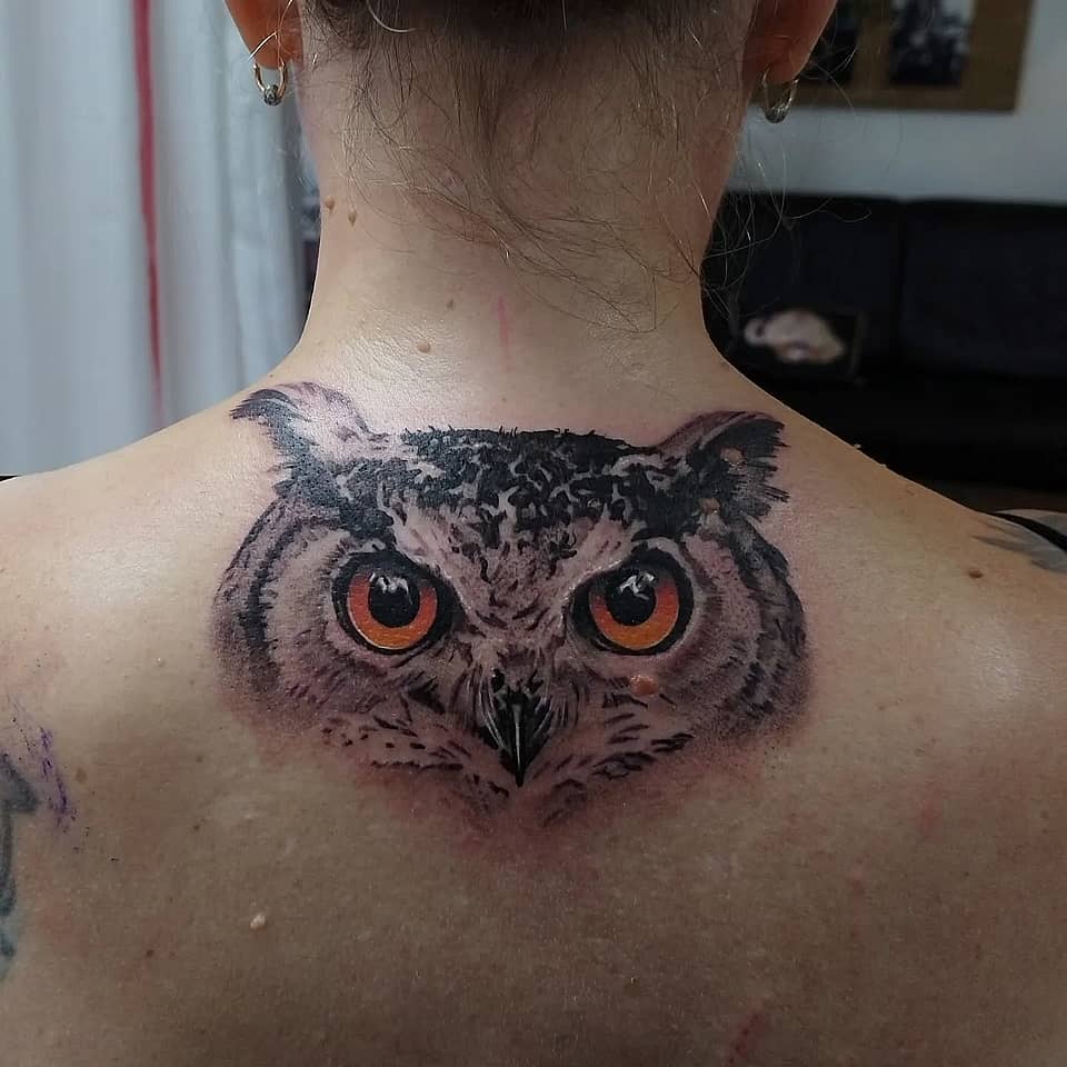 Watchful Owl