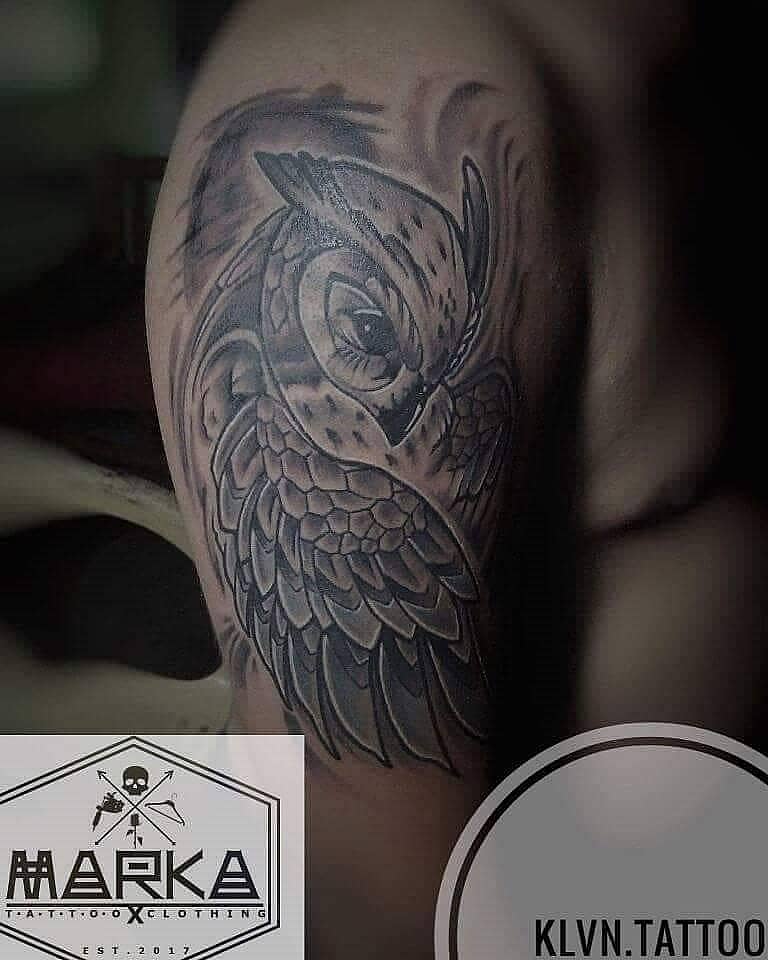 Watchful Owl