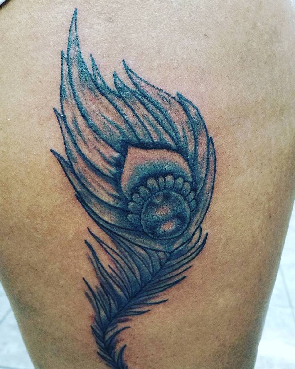 Watchful Peacock Feather