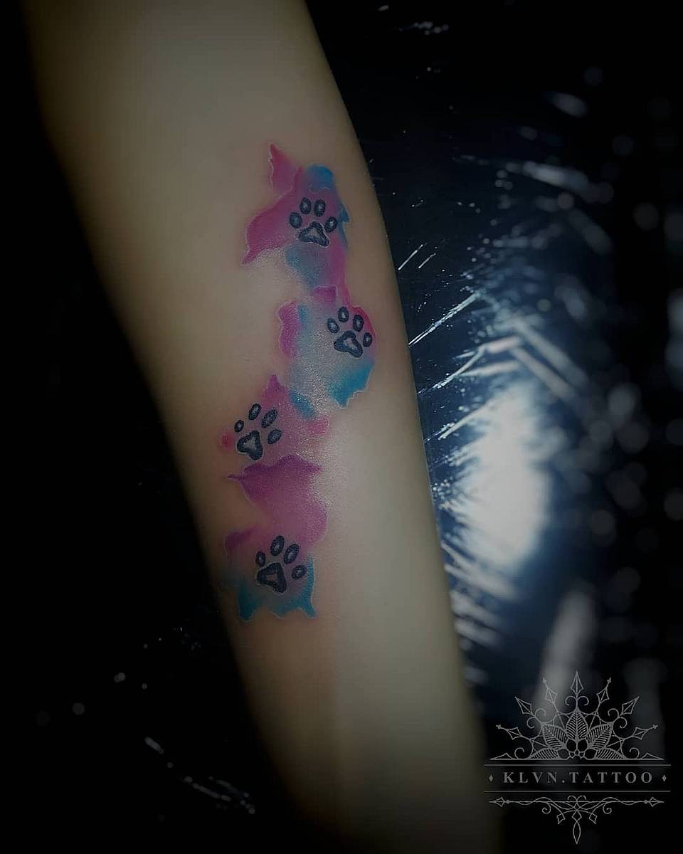 Watercolor Pawprint Trail