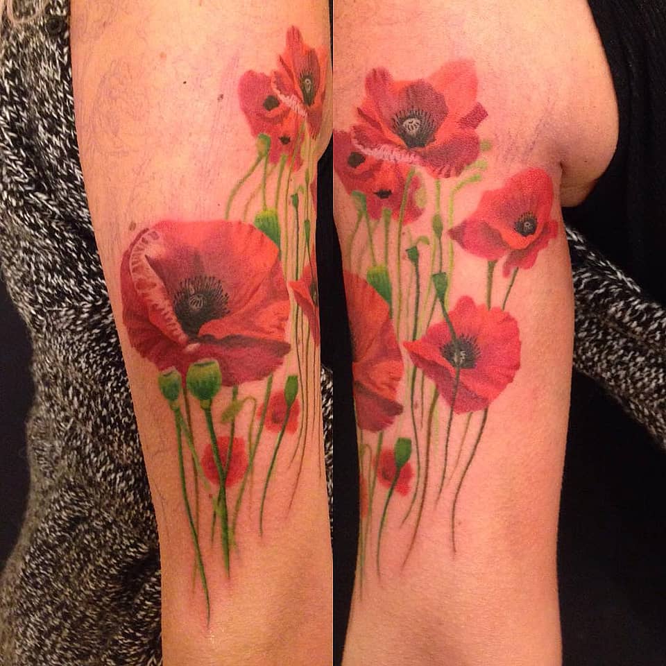 Watercolor Red Poppies