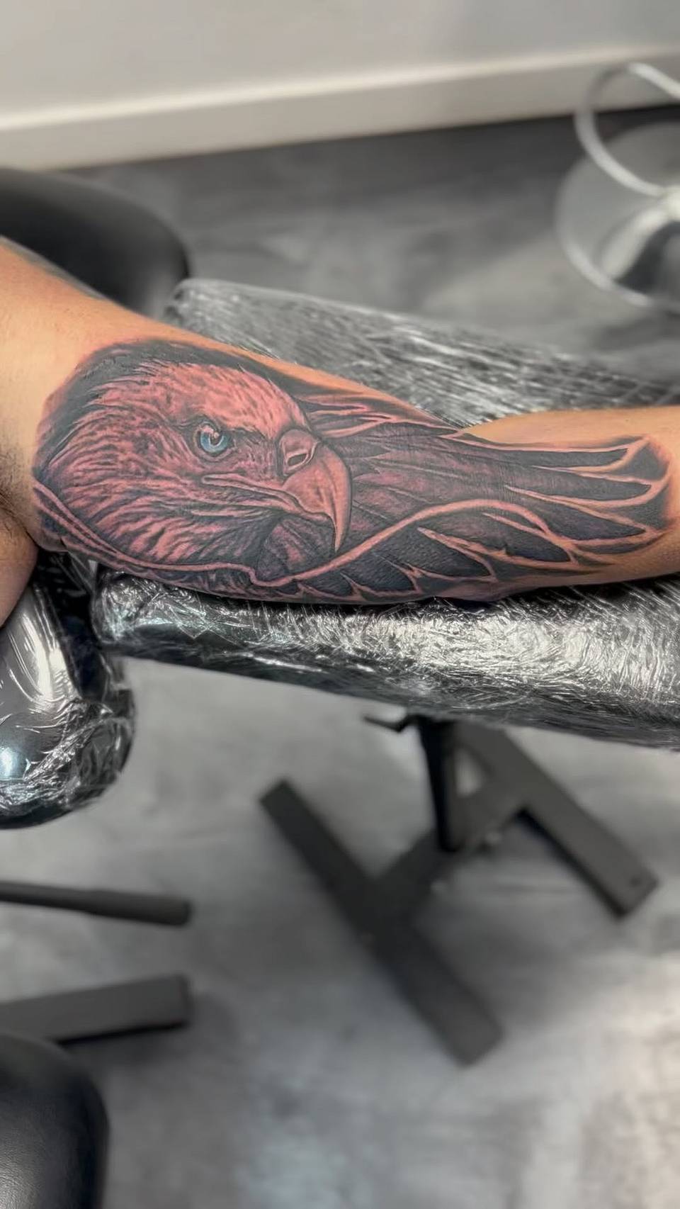 Winged Sentinel Eagle