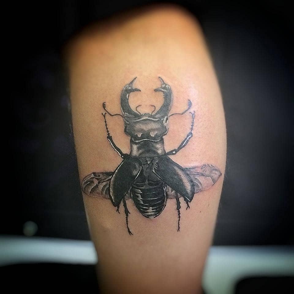 Winged Stag Beetle Realism