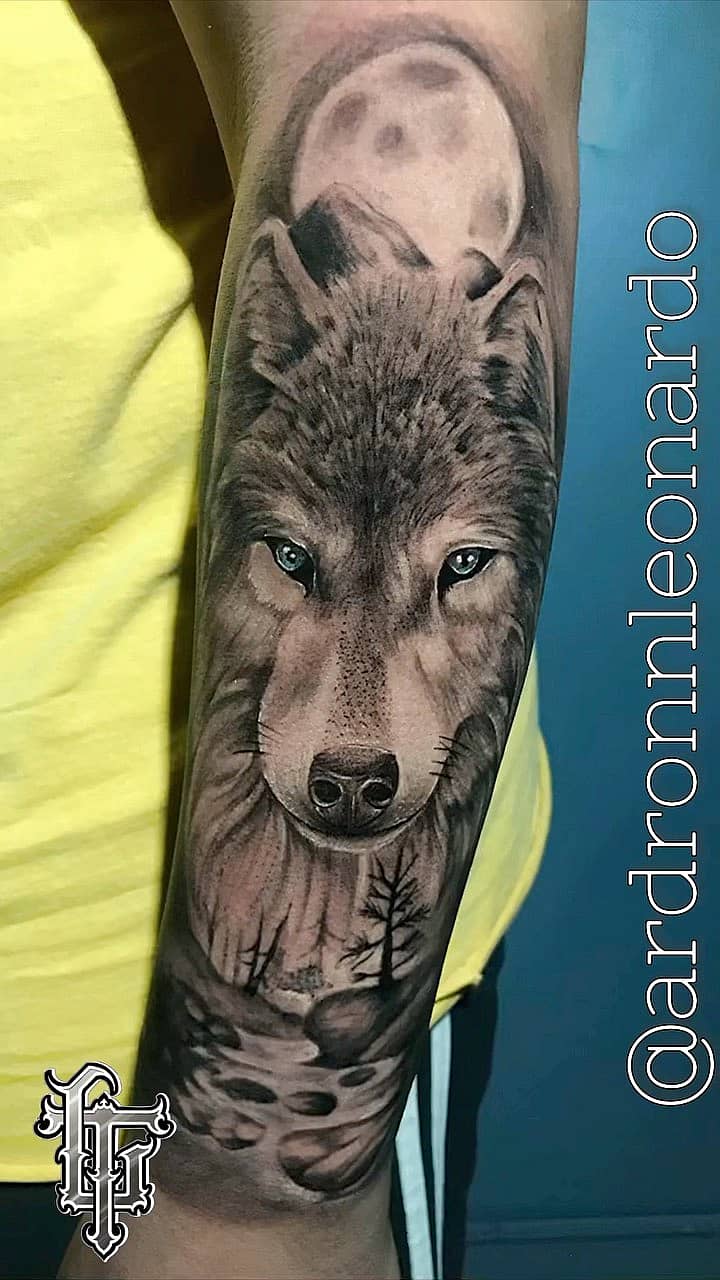 Wolf Under the Full Moon