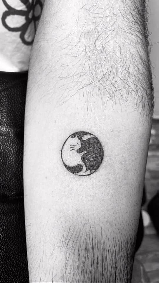 Yin-Yang Cats