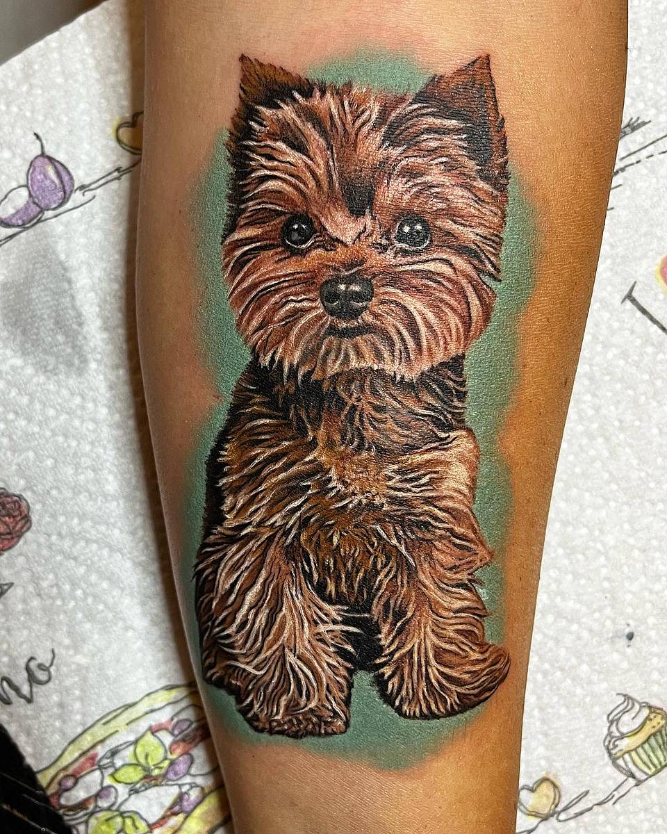 Yorkshire Terrier Portrait