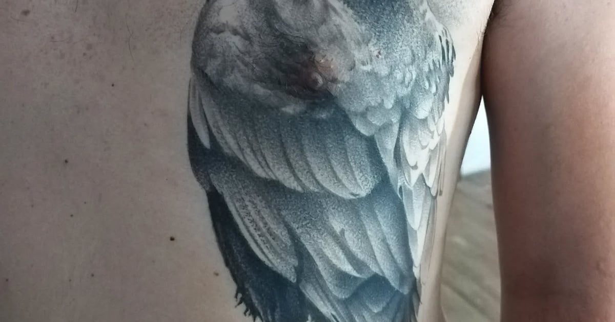 Realistic Crow Chest and Rib Tattoo - Tattoos.com